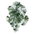 GloboStar® Artificial Garden ALBINO MONSTERA HANGING PLANT 20609 Τεχνητό Διακοσμητικό Κρεμαστό Φυτό Μονστέρα Υ45cm GloboStar® Artificial Garden ALBINO MONSTERA HANGING PLANT 20609 Τεχνητό Διακοσμητικό Κρεμαστό Φυτό Μονστέρα Υ45cm