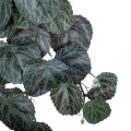 GloboStar® Artificial Garden BEGONIA HANGING PLANT 20610 Τεχνητό Διακοσμητικό Κρεμαστό Φυτό Βιγόνια Υ45cm GloboStar® Artificial Garden BEGONIA HANGING PLANT 20610 Τεχνητό Διακοσμητικό Κρεμαστό Φυτό Βιγόνια Υ45cm