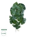 GloboStar® Artificial Garden MONSTERA HANGING PLANT 20613 Τεχνητό Διακοσμητικό Κρεμαστό Φυτό Μονστέρα Υ45cm GloboStar® Artificial Garden MONSTERA HANGING PLANT 20613 Τεχνητό Διακοσμητικό Κρεμαστό Φυτό Μονστέρα Υ45cm