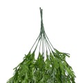 GloboStar® Artificial Garden THUJA HANGING BRANCH 20616 Τεχνητό Κρεμαστό Διακοσμητικό Κρεμαστό κλαδί Τούγιας Y82cm Σετ 2 τεμαχίων GloboStar® Artificial Garden THUJA HANGING BRANCH 20616 Τεχνητό Κρεμαστό Διακοσμητικό Κρεμαστό κλαδί Τούγιας Y82cm Σετ 2 τεμαχίων