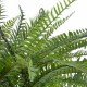 GloboStar® Artificial Garden FERN HANGING PLANT 20624 Τεχνητό Κρεμαστό Διακοσμητικό Φυτό Φτέρης Y90cm