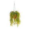 GloboStar® Artificial Garden GOLDEN BELL WILLOW HANGING PLANT 20626 Τεχνητό Κρεμαστό Διακοσμητικό Φυτό Κίτρινη Ιτιά Μ40 x Π40 x Y60cm GloboStar® Artificial Garden GOLDEN BELL WILLOW HANGING PLANT 20626 Τεχνητό Κρεμαστό Διακοσμητικό Φυτό Κίτρινη Ιτιά Μ40 x Π40 x Y60cm