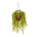 GloboStar® Artificial Garden GOLDEN BELL WILLOW HANGING PLANT 20626 Τεχνητό Κρεμαστό Διακοσμητικό Φυτό Κίτρινη Ιτιά Μ40 x Π40 x Y60cm GloboStar® Artificial Garden GOLDEN BELL WILLOW HANGING PLANT 20626 Τεχνητό Κρεμαστό Διακοσμητικό Φυτό Κίτρινη Ιτιά Μ40 x Π40 x Y60cm