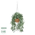 GloboStar® Artificial Garden GOLDEN BELL WILLOW HANGING PLANT 20627 Τεχνητό Κρεμαστό Διακοσμητικό Φυτό Ιτίας Y50cm GloboStar® Artificial Garden GOLDEN BELL WILLOW HANGING PLANT 20627 Τεχνητό Κρεμαστό Διακοσμητικό Φυτό Ιτίας Y50cm