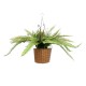 GloboStar® Artificial Garden FERN HANGING BOUQUET PLANT 20629 Τεχνητό Κρεμαστό Διακοσμητικό Φυτό Φτέρης  Y65cm