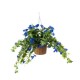 GloboStar® Artificial Garden MORNING GLORY HANGING PLANT 20636 Τεχνητό Κρεμαστό Διακοσμητικό Φυτό Ορτανσίας Y55cm