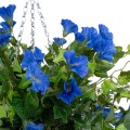 GloboStar® Artificial Garden MORNING GLORY HANGING PLANT 20636 Τεχνητό Κρεμαστό Διακοσμητικό Φυτό Ορτανσίας Y55cm GloboStar® Artificial Garden MORNING GLORY HANGING PLANT 20636 Τεχνητό Κρεμαστό Διακοσμητικό Φυτό Ορτανσίας Y55cm