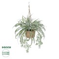 GloboStar® Artificial Garden CHLOROPHYTUM COMOSUM HANGING PLANT 20638 Τεχνητό Κρεμαστό Διακοσμητικό Χλωρόφυτο Y50cm GloboStar® Artificial Garden CHLOROPHYTUM COMOSUM HANGING PLANT 20638 Τεχνητό Κρεμαστό Διακοσμητικό Χλωρόφυτο Y50cm