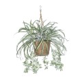 GloboStar® Artificial Garden CHLOROPHYTUM COMOSUM HANGING PLANT 20638 Τεχνητό Κρεμαστό Διακοσμητικό Χλωρόφυτο Y50cm GloboStar® Artificial Garden CHLOROPHYTUM COMOSUM HANGING PLANT 20638 Τεχνητό Κρεμαστό Διακοσμητικό Χλωρόφυτο Y50cm