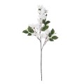GloboStar® Artificial Garden BOUGAUVILLEA BRANCH 20648 Τεχνητό Διακοσμητικό Κλαδί Μπουκανβίλιας Λευκή Y80cm GloboStar® Artificial Garden BOUGAUVILLEA BRANCH 20648 Τεχνητό Διακοσμητικό Κλαδί Μπουκανβίλιας Λευκή Y80cm