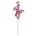 GloboStar® Artificial Garden BOUGAUVILLEA BRANCH 20652 Τεχνητό Διακοσμητικό Κλαδί Μπουκανβίλιας Φουξ Y115cm GloboStar® Artificial Garden BOUGAUVILLEA BRANCH 20652 Τεχνητό Διακοσμητικό Κλαδί Μπουκανβίλιας Φουξ Y115cm