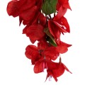 GloboStar® Artificial Garden BOUGAUVILLEA BRANCH 20662 Τεχνητό Διακοσμητικό Κλαδί Μπουκανβίλιας Κόκκινο Κεραμιδί Y80cm GloboStar® Artificial Garden BOUGAUVILLEA BRANCH 20662 Τεχνητό Διακοσμητικό Κλαδί Μπουκανβίλιας Κόκκινο Κεραμιδί Y80cm