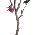 GloboStar® Artificial Garden BOUGAUVILLEA 20675 Τεχνητό Διακοσμητικό Φυτό με Ανθη Μπουκανβίλιας Φουξ Υ150cm GloboStar® Artificial Garden BOUGAUVILLEA 20675 Τεχνητό Διακοσμητικό Φυτό με Ανθη Μπουκανβίλιας Φουξ Υ150cm
