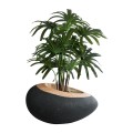 GloboStar® Artificial Garden RAVELLO 20746 Επιδαπέδιο Πολυεστερικό Τσιμεντένιο Κασπώ Γλάστρα - Flower Pot Μαύρο με Καφέ Μ82 x Π62 x Υ45cm GloboStar® Artificial Garden RAVELLO 20746 Επιδαπέδιο Πολυεστερικό Τσιμεντένιο Κασπώ Γλάστρα - Flower Pot Μαύρο με Καφέ Μ82 x Π62 x Υ45cm