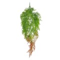GloboStar® Artificial Garden HANGING FERN 20805 Τεχνητό Διακοσμητικό Κρεμαστό Φυτό Φτέρη Μ40 x Π20 x Υ88cm GloboStar® Artificial Garden HANGING FERN 20805 Τεχνητό Διακοσμητικό Κρεμαστό Φυτό Φτέρη Μ40 x Π20 x Υ88cm