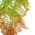GloboStar® Artificial Garden HANGING FERN 20805 Τεχνητό Διακοσμητικό Κρεμαστό Φυτό Φτέρη Μ40 x Π20 x Υ88cm GloboStar® Artificial Garden HANGING FERN 20805 Τεχνητό Διακοσμητικό Κρεμαστό Φυτό Φτέρη Μ40 x Π20 x Υ88cm