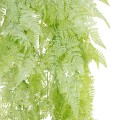 GloboStar® Artificial Garden HANGING FERN 20806 Τεχνητό Διακοσμητικό Κρεμαστό Φυτό Φτέρη Μ40 x Π20 x Υ88cm GloboStar® Artificial Garden HANGING FERN 20806 Τεχνητό Διακοσμητικό Κρεμαστό Φυτό Φτέρη Μ40 x Π20 x Υ88cm