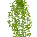 GloboStar® Artificial Garden HANGING EUCALYPTUS 20809 Τεχνητό Διακοσμητικό Κρεμαστό Φυτό Ευκάλυπτος Μ16 x Π9 x Υ105cm GloboStar® Artificial Garden HANGING EUCALYPTUS 20809 Τεχνητό Διακοσμητικό Κρεμαστό Φυτό Ευκάλυπτος Μ16 x Π9 x Υ105cm