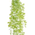 GloboStar® Artificial Garden HANGING EUCALYPTUS 20811 Τεχνητό Διακοσμητικό Κρεμαστό Φυτό Ευκάλυπτος Μ16 x Π9 x Υ105cm GloboStar® Artificial Garden HANGING EUCALYPTUS 20811 Τεχνητό Διακοσμητικό Κρεμαστό Φυτό Ευκάλυπτος Μ16 x Π9 x Υ105cm