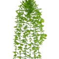 GloboStar® Artificial Garden HANGING EUCALYPTUS 20812 Τεχνητό Διακοσμητικό Κρεμαστό Φυτό Ευκάλυπτος Μ16 x Π9 x Υ105cm GloboStar® Artificial Garden HANGING EUCALYPTUS 20812 Τεχνητό Διακοσμητικό Κρεμαστό Φυτό Ευκάλυπτος Μ16 x Π9 x Υ105cm