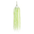 GloboStar® Artificial Garden HANGING GRASS 20813 Τεχνητό Διακοσμητικό Κρεμαστό Φυτό Grass Μ18 x Π4 x Υ81cm GloboStar® Artificial Garden HANGING GRASS 20813 Τεχνητό Διακοσμητικό Κρεμαστό Φυτό Grass Μ18 x Π4 x Υ81cm