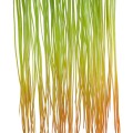 GloboStar® Artificial Garden HANGING GRASS 20815 Τεχνητό Διακοσμητικό Κρεμαστό Φυτό Grass Μ18 x Π4 x Υ81cm GloboStar® Artificial Garden HANGING GRASS 20815 Τεχνητό Διακοσμητικό Κρεμαστό Φυτό Grass Μ18 x Π4 x Υ81cm