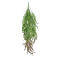 GloboStar® Artificial Garden HANGING FERN BRANCH 20834 Τεχνητό Διακοσμητικό Κρεμαστό κλαδί Φτέρης Μ30 x Π8 x Υ87cm GloboStar® Artificial Garden HANGING FERN BRANCH 20834 Τεχνητό Διακοσμητικό Κρεμαστό κλαδί Φτέρης Μ30 x Π8 x Υ87cm