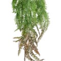GloboStar® Artificial Garden HANGING FERN BRANCH 20834 Τεχνητό Διακοσμητικό Κρεμαστό κλαδί Φτέρης Μ30 x Π8 x Υ87cm GloboStar® Artificial Garden HANGING FERN BRANCH 20834 Τεχνητό Διακοσμητικό Κρεμαστό κλαδί Φτέρης Μ30 x Π8 x Υ87cm