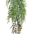 GloboStar® Artificial Garden HANGING ADIANTUM 20838 Τεχνητό Διακοσμητικό Κρεμαστό Κλαδί Αδίαντο Μ20 x Π6 x Υ90cm GloboStar® Artificial Garden HANGING ADIANTUM 20838 Τεχνητό Διακοσμητικό Κρεμαστό Κλαδί Αδίαντο Μ20 x Π6 x Υ90cm