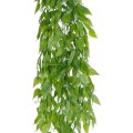 GloboStar® Artificial Garden HANGING LIMA BEAN 20845 Τεχνητό Διακοσμητικό Κρεμαστό Φυτό Φασόλι Λίμα Μ29 x Π10 x Υ86cm GloboStar® Artificial Garden HANGING LIMA BEAN 20845 Τεχνητό Διακοσμητικό Κρεμαστό Φυτό Φασόλι Λίμα Μ29 x Π10 x Υ86cm