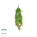 GloboStar® Artificial Garden HANGING LIMA BEAN 20846 Τεχνητό Διακοσμητικό Κρεμαστό Φυτό Φασόλι Λίμα Μ29 x Π10 x Υ86cm GloboStar® Artificial Garden HANGING LIMA BEAN 20846 Τεχνητό Διακοσμητικό Κρεμαστό Φυτό Φασόλι Λίμα Μ29 x Π10 x Υ86cm