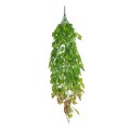 GloboStar® Artificial Garden HANGING LIMA BEAN 20846 Τεχνητό Διακοσμητικό Κρεμαστό Φυτό Φασόλι Λίμα Μ29 x Π10 x Υ86cm GloboStar® Artificial Garden HANGING LIMA BEAN 20846 Τεχνητό Διακοσμητικό Κρεμαστό Φυτό Φασόλι Λίμα Μ29 x Π10 x Υ86cm