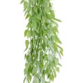 GloboStar® Artificial Garden HANGING LIMA BEAN 20847 Τεχνητό Διακοσμητικό Κρεμαστό Φυτό Φασόλι Λίμα Μ29 x Π10 x Υ86cm GloboStar® Artificial Garden HANGING LIMA BEAN 20847 Τεχνητό Διακοσμητικό Κρεμαστό Φυτό Φασόλι Λίμα Μ29 x Π10 x Υ86cm