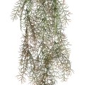 GloboStar® Artificial Garden HANGING FOENICULUM 20848 Τεχνητό Διακοσμητικό Κρεμαστό Φυτό Φοινίκουλο Μ30 x Π12 x Υ88cm GloboStar® Artificial Garden HANGING FOENICULUM 20848 Τεχνητό Διακοσμητικό Κρεμαστό Φυτό Φοινίκουλο Μ30 x Π12 x Υ88cm