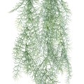 GloboStar® Artificial Garden HANGING FOENICULUM 20851 Τεχνητό Διακοσμητικό Κρεμαστό Φυτό Φοινίκουλο Μ30 x Π12 x Υ88cm GloboStar® Artificial Garden HANGING FOENICULUM 20851 Τεχνητό Διακοσμητικό Κρεμαστό Φυτό Φοινίκουλο Μ30 x Π12 x Υ88cm