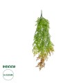 GloboStar® Artificial Garden HANGING FERN 20854 Τεχνητό Διακοσμητικό Κρεμαστό Φυτό Φτέρη Μ30 x Π14 x Υ85cm GloboStar® Artificial Garden HANGING FERN 20854 Τεχνητό Διακοσμητικό Κρεμαστό Φυτό Φτέρη Μ30 x Π14 x Υ85cm