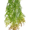 GloboStar® Artificial Garden HANGING FERN 20854 Τεχνητό Διακοσμητικό Κρεμαστό Φυτό Φτέρη Μ30 x Π14 x Υ85cm GloboStar® Artificial Garden HANGING FERN 20854 Τεχνητό Διακοσμητικό Κρεμαστό Φυτό Φτέρη Μ30 x Π14 x Υ85cm