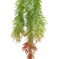 GloboStar® Artificial Garden HANGING BARLEY 20858 Τεχνητό Διακοσμητικό Κρεμαστό Φυτό Κριθάρι Μ26 x Π15 x Υ81cm GloboStar® Artificial Garden HANGING BARLEY 20858 Τεχνητό Διακοσμητικό Κρεμαστό Φυτό Κριθάρι Μ26 x Π15 x Υ81cm