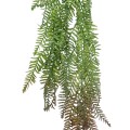 GloboStar® Artificial Garden HANGING FERN 20862 Τεχνητό Διακοσμητικό Κρεμαστό Φυτό Φτέρη Μ28 x Π15 x Υ90cm GloboStar® Artificial Garden HANGING FERN 20862 Τεχνητό Διακοσμητικό Κρεμαστό Φυτό Φτέρη Μ28 x Π15 x Υ90cm