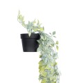 GloboStar® Artificial Garden HANGING DATURA 20864 Τεχνητό Κρεμαστό Διακοσμητικό Φυτό Δατούρα Φ24 x Y80cm GloboStar® Artificial Garden HANGING DATURA 20864 Τεχνητό Κρεμαστό Διακοσμητικό Φυτό Δατούρα Φ24 x Y80cm