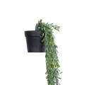 GloboStar® Artificial Garden HANGING MILAN GRASS 20866 Τεχνητό Κρεμαστό Διακοσμητικό Φυτό Milan Grass Φ18 x Y60cm GloboStar® Artificial Garden HANGING MILAN GRASS 20866 Τεχνητό Κρεμαστό Διακοσμητικό Φυτό Milan Grass Φ18 x Y60cm