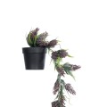 GloboStar® Artificial Garden HANGING BROWN PINE CONE 20870 - Τεχνητό Κρεμαστό Διακοσμητικό Φυτό Κουκουνάρι Φ15 x Y60cm GloboStar® Artificial Garden HANGING BROWN PINE CONE 20870 - Τεχνητό Κρεμαστό Διακοσμητικό Φυτό Κουκουνάρι Φ15 x Y60cm