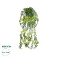 GloboStar® Artificial Garden HANGING FERN 20877 - Τεχνητό Κρεμαστό Διακοσμητικό Φυτό Φτέρη Φ23 x Y70cm GloboStar® Artificial Garden HANGING FERN 20877 - Τεχνητό Κρεμαστό Διακοσμητικό Φυτό Φτέρη Φ23 x Y70cm