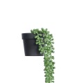 GloboStar® Artificial Garden HANGING LOVER'S TEARS 20878 - Τεχνητό Κρεμαστό Διακοσμητικό Φυτό Lover's Tears Φ12 x Y40cm GloboStar® Artificial Garden HANGING LOVER'S TEARS 20878 - Τεχνητό Κρεμαστό Διακοσμητικό Φυτό Lover's Tears Φ12 x Y40cm
