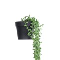 GloboStar® Artificial Garden HANGING LOVER'S TEARS 20882 - Τεχνητό Κρεμαστό Διακοσμητικό Φυτό Lover's Tears Φ15 x Y70cm GloboStar® Artificial Garden HANGING LOVER'S TEARS 20882 - Τεχνητό Κρεμαστό Διακοσμητικό Φυτό Lover's Tears Φ15 x Y70cm