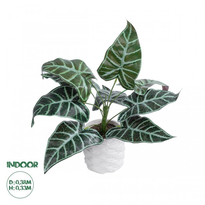 GloboStar® Artificial Garden ALOCASIA 20886 Τεχνητό Διακοσμητικό Φυτό Αλοκασία Φ38 x Υ33cm GloboStar® Artificial Garden ALOCASIA 20886 Τεχνητό Διακοσμητικό Φυτό Αλοκασία Φ38 x Υ33cm