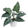 GloboStar® Artificial Garden ALOCASIA 20886 Τεχνητό Διακοσμητικό Φυτό Αλοκασία Φ38 x Υ33cm GloboStar® Artificial Garden ALOCASIA 20886 Τεχνητό Διακοσμητικό Φυτό Αλοκασία Φ38 x Υ33cm