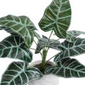 GloboStar® Artificial Garden ALOCASIA 20886 Τεχνητό Διακοσμητικό Φυτό Αλοκασία Φ38 x Υ33cm GloboStar® Artificial Garden ALOCASIA 20886 Τεχνητό Διακοσμητικό Φυτό Αλοκασία Φ38 x Υ33cm