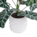 GloboStar® Artificial Garden ALOCASIA 20886 Τεχνητό Διακοσμητικό Φυτό Αλοκασία Φ38 x Υ33cm GloboStar® Artificial Garden ALOCASIA 20886 Τεχνητό Διακοσμητικό Φυτό Αλοκασία Φ38 x Υ33cm