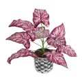 GloboStar® Artificial Garden RED POLKA 20887 Τεχνητό Διακοσμητικό Φυτό Κόκκινη Πόλκα Φ38 x Υ33cm GloboStar® Artificial Garden RED POLKA 20887 Τεχνητό Διακοσμητικό Φυτό Κόκκινη Πόλκα Φ38 x Υ33cm